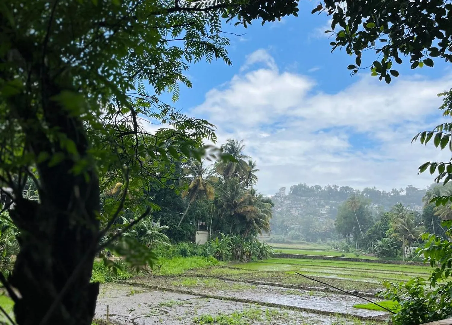 Kandy Living Homestay 0*,