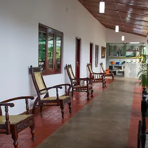 https://udawatta-kele.negombohotels.net