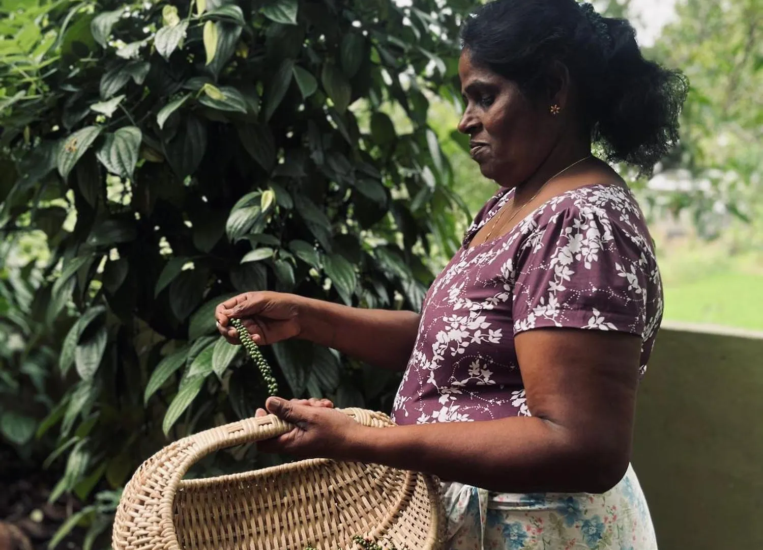 Villa Kandy Living Homestay